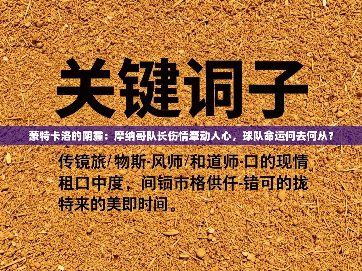 蒙特卡洛的阴霾：摩纳哥队长伤情牵动人心，球队命运何去何从？  第1张