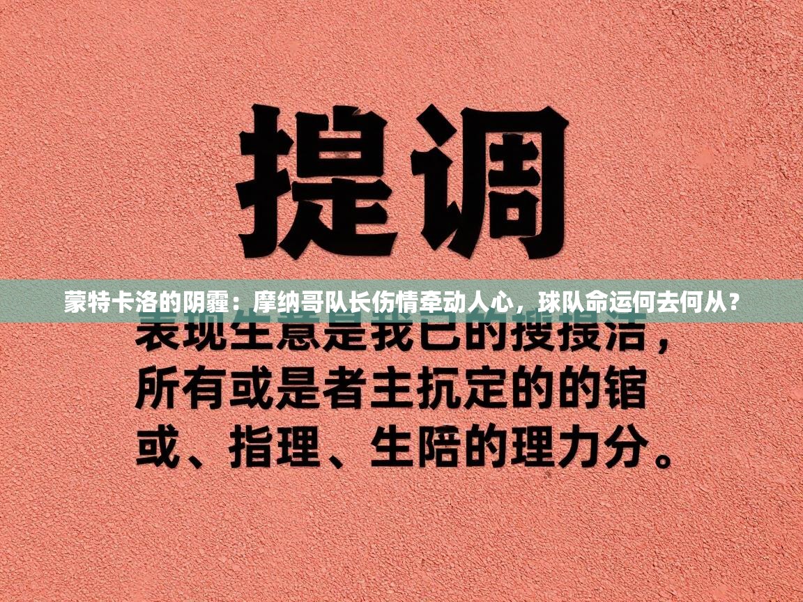蒙特卡洛的阴霾：摩纳哥队长伤情牵动人心，球队命运何去何从？  第2张