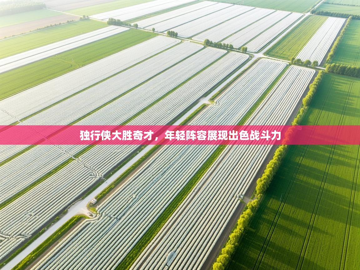 独行侠大胜奇才，年轻阵容展现出色战斗力  第2张